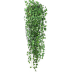 EvergreenGlow – Always Green Plants for Any Season