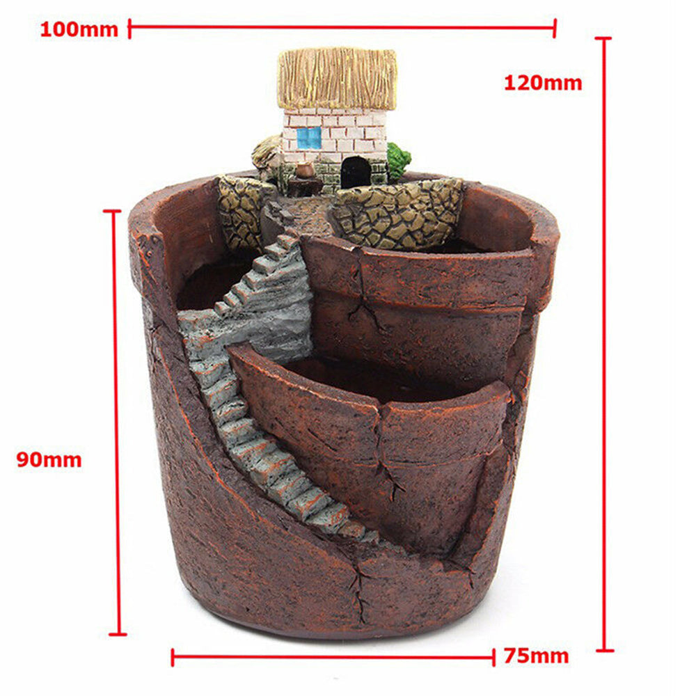 Elegant Container for Succulents and Herbs