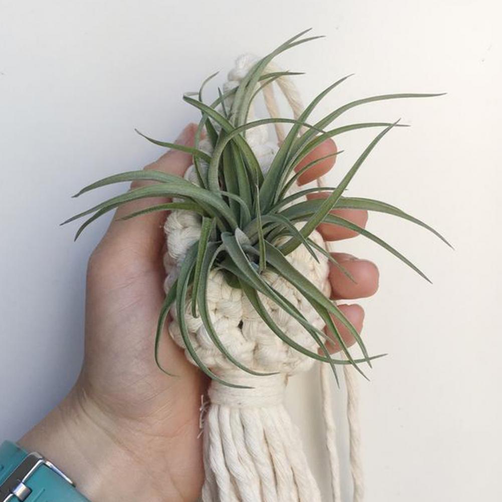 Handmade Macrame Plant Hanger – Decorative Suspension for Plants in Boho Style