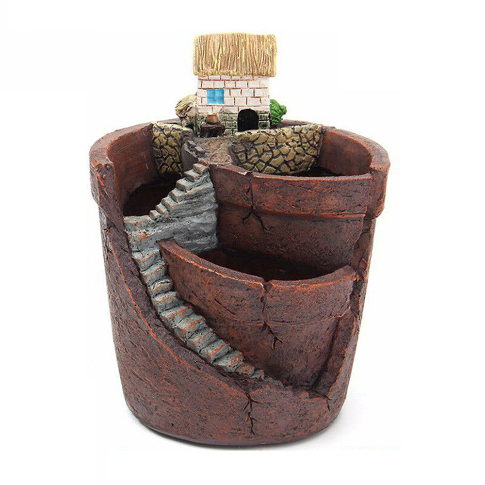 Elegant Container for Succulents and Herbs