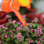 2in1 Plant Mist Garden Bottle Sprinkler