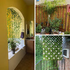 Eindhoven Evergreen | Regardless of the season, your leaves are vivid and green!