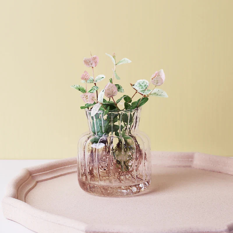 Glass Vase (Various Shape)