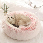 Cat bed