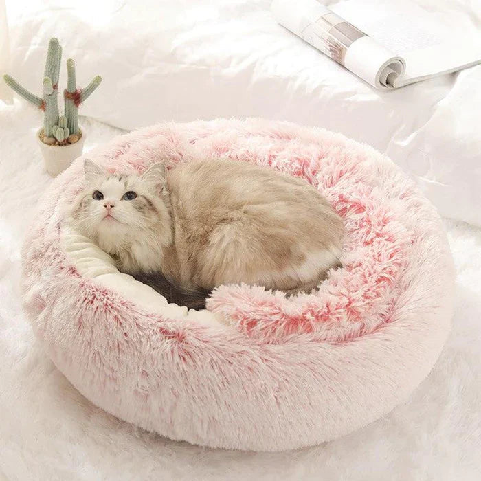 Cat bed