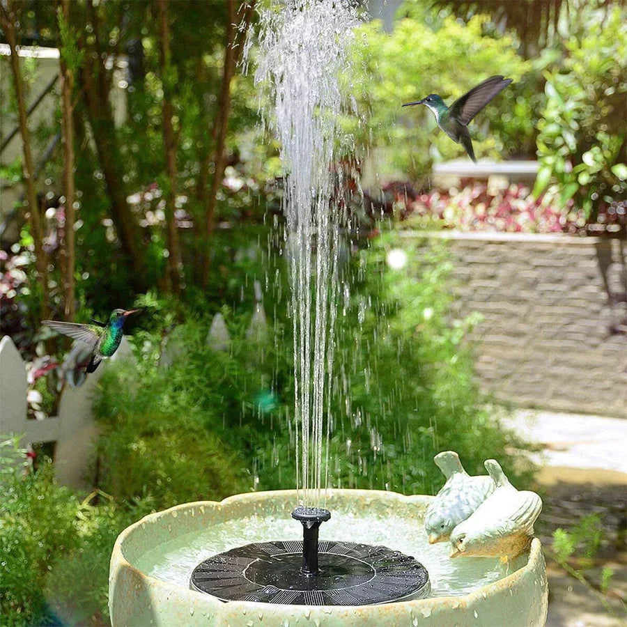 SunSplash | Refreshing, sustainable, and joyous