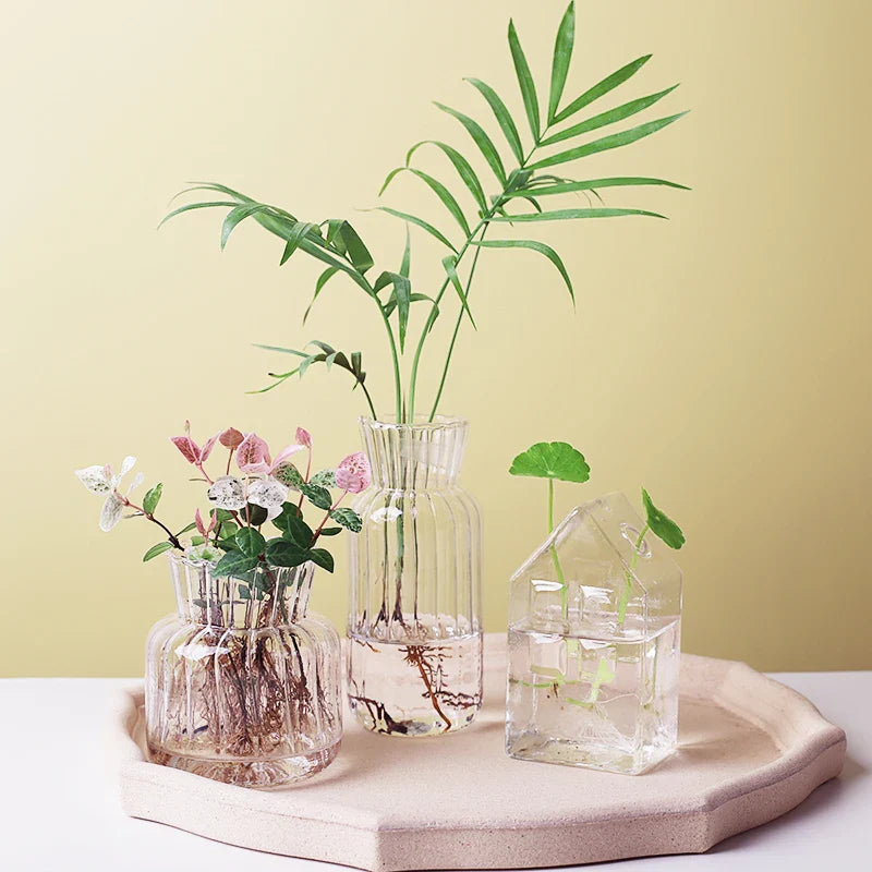 Glass Vase (Various Shape)