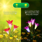 Enchanting Solar-Powered Lily Lights for Gardens and Patios