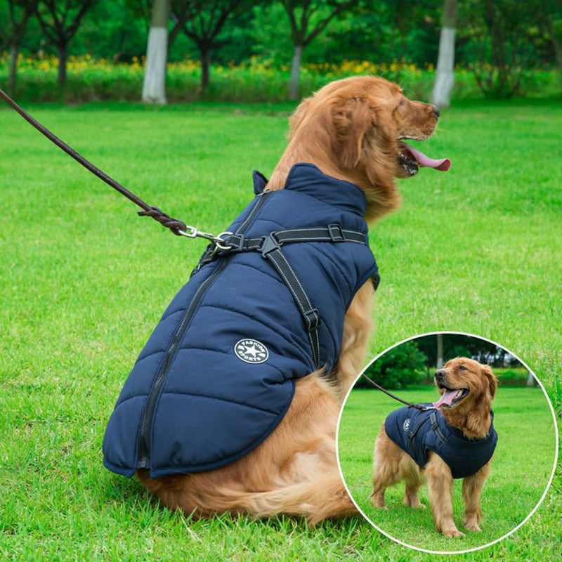 Stylish and warm jacket for winter walks