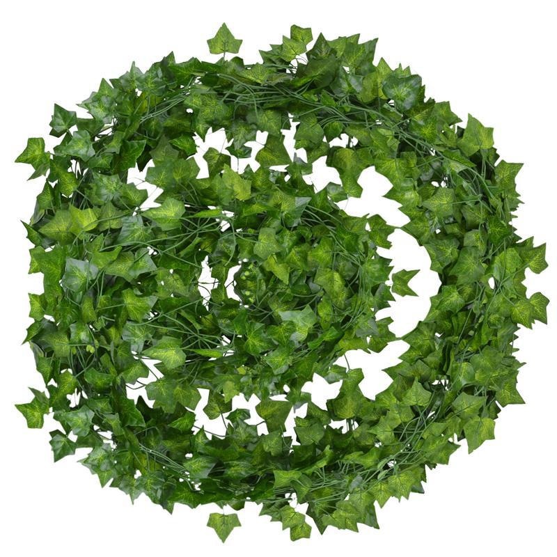 Eindhoven Evergreen | Regardless of the season, your leaves are vivid and green!