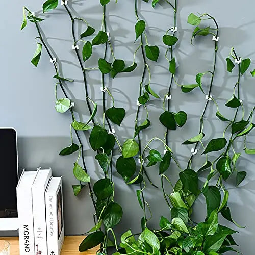 Climbing Wall Mounting Clips – Practical Plant Holders for Wall Decoration