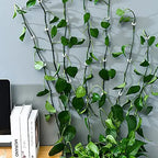Climbing Wall Mounting Clips – Practical Plant Holders for Wall Decoration