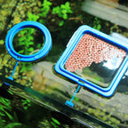 Aquarium feeding ring