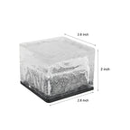Garden Solar Glass Brick Path Lights