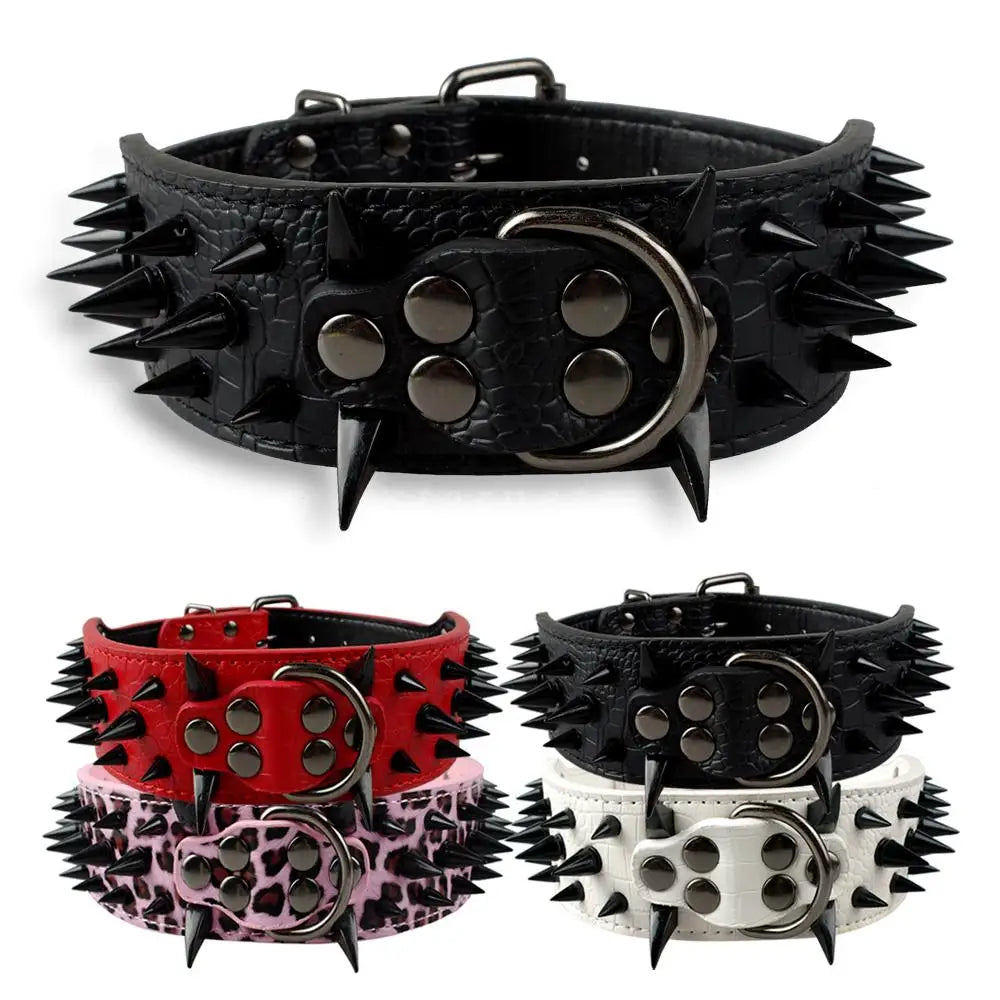 Dog collar with studs for large dogs