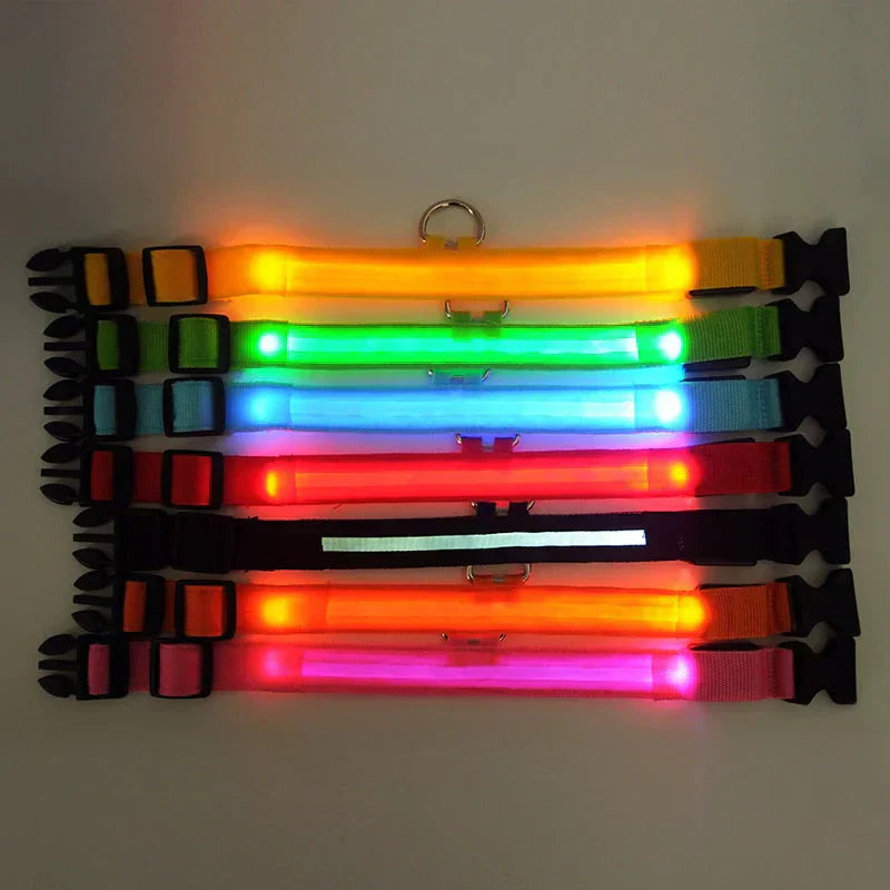 GlowPets LED Collar – Safety & Visibility for Pets