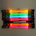 GlowPets LED Collar – Safety & Visibility for Pets