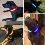 GlowPets LED Collar – Safety & Visibility for Pets