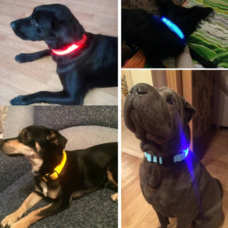 GlowPets LED Collar – Safety & Visibility for Pets