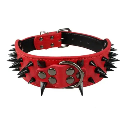 Dog collar with studs for large dogs