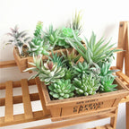 Floryvo Decorative Succulents | Deceptively Real | Carefree & Durable | Set of Artificial Plants