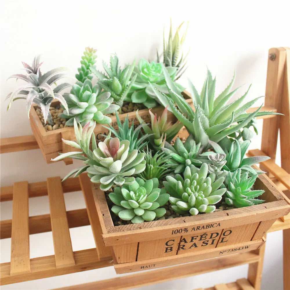 Floryvo Decorative Succulents | Deceptively Real | Carefree & Durable | Set of Artificial Plants