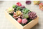 Floryvo Decorative Succulents | Deceptively Real | Carefree & Durable | Set of Artificial Plants