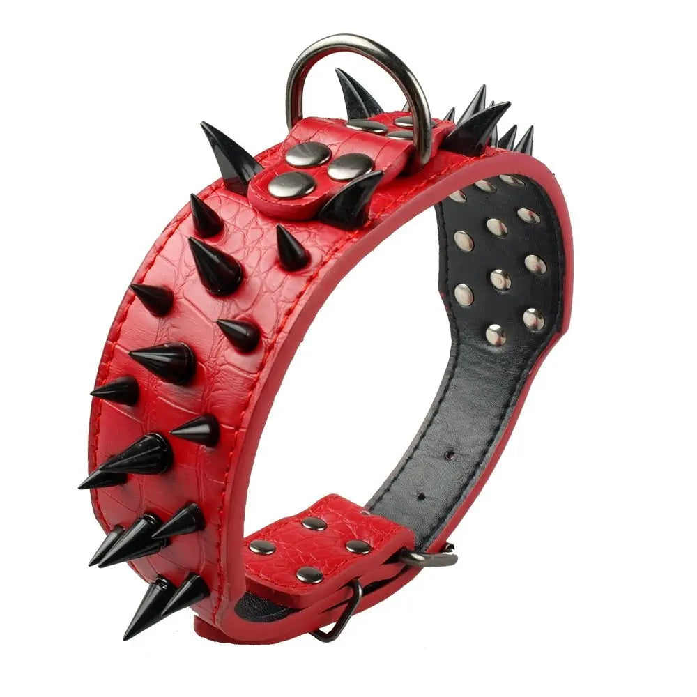 Dog collar with studs for large dogs