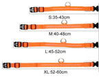 GlowPets LED Collar – Safety & Visibility for Pets