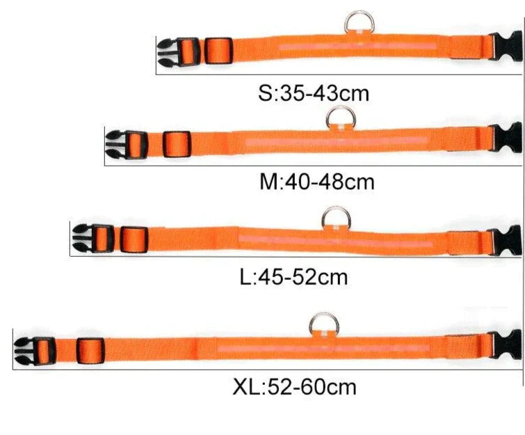 GlowPets LED Collar – Safety & Visibility for Pets