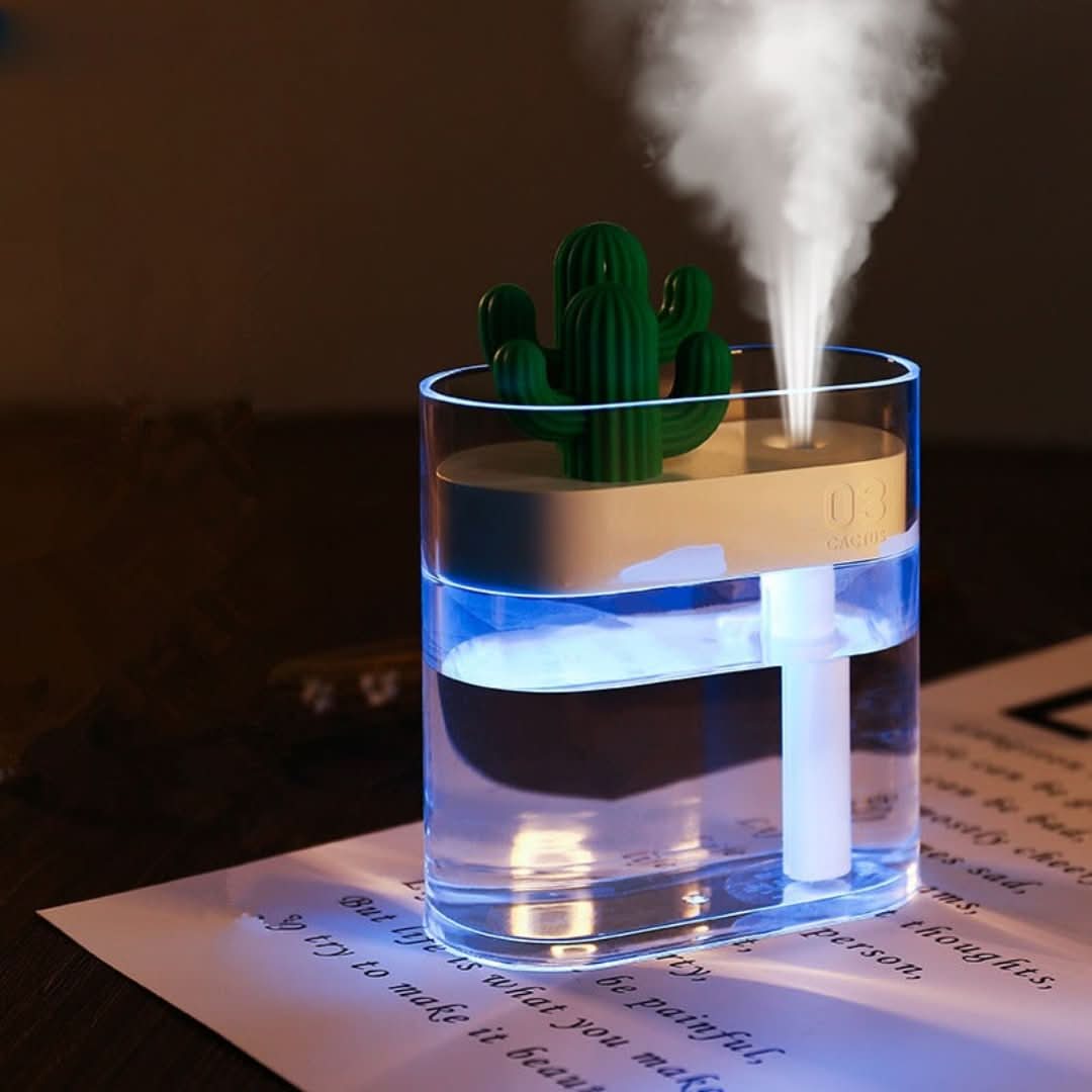 Ultrasound quiet air humidifier Cactus