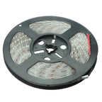 Waterproof 5M LED strip light in warm and cool white