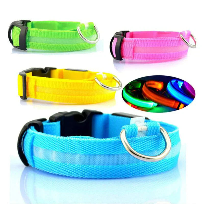 GlowPets LED Collar – Safety & Visibility for Pets