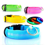 GlowPets LED Collar – Safety & Visibility for Pets
