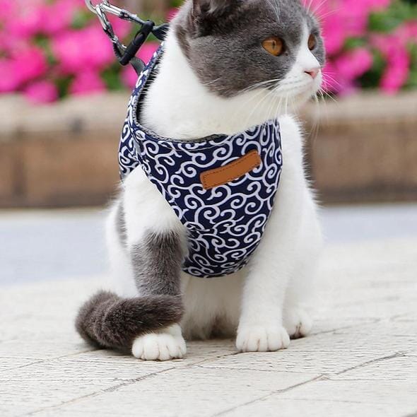 Cat vest harness and leash set for walks