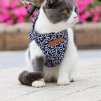 Cat vest harness and leash set for walks