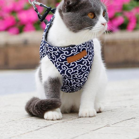 Collar jacket and leash for cat
