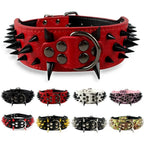Dog collar with studs for large dogs