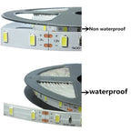 Waterproof 5M LED strip light in warm and cool white
