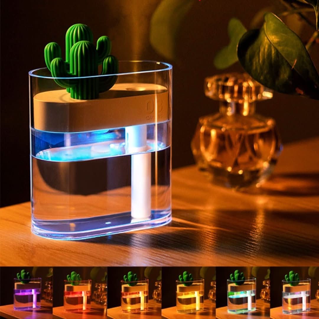 Ultrasound quiet air humidifier Cactus