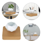 Magnetic Levitating Bonsai Planter, Floating Flower Pot for Home and Office Décor
