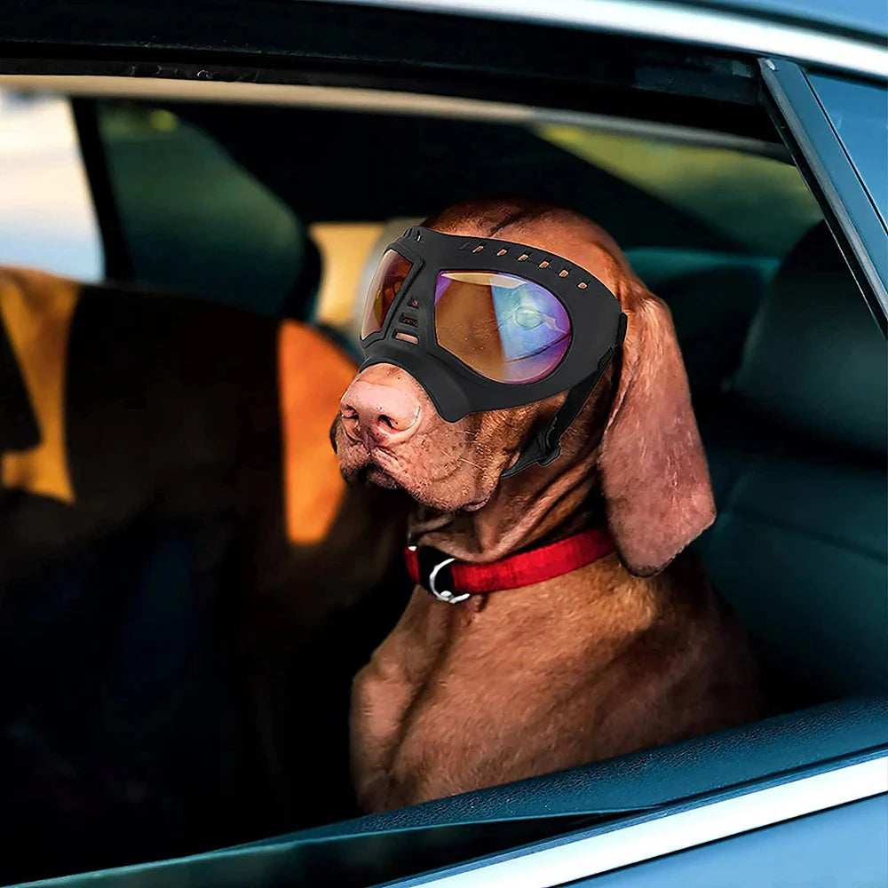 Shadow Dog Goggles
