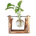 FaunaGrow Pots – Sustainable Growing Set for Plants
