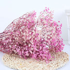 Dried Preserved Gypsophila Flower Bouquet – Natural Decor