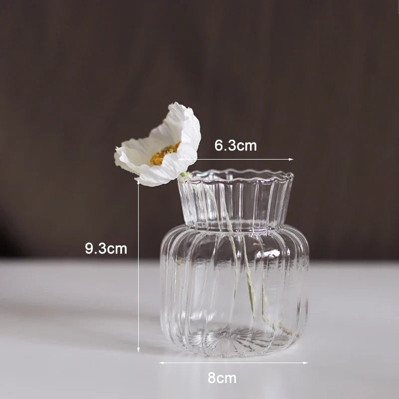 Glass Vase (Various Shape)