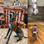 Halloween Cowboy Dog Costume Outfit
