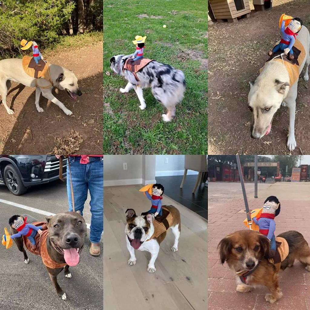Halloween Cowboy Dog Costume Outfit