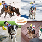 Halloween Cowboy Dog Costume Outfit