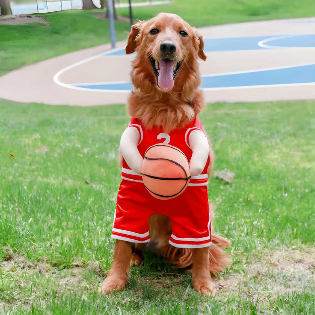 Halloween Dog Costume Basketball Outfit