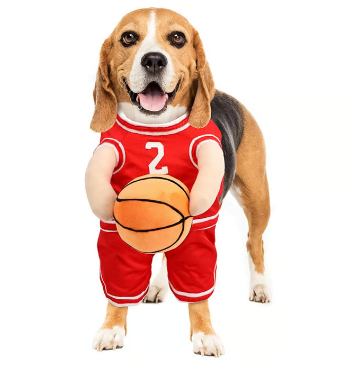 Halloween Dog Costume Basketball Outfit